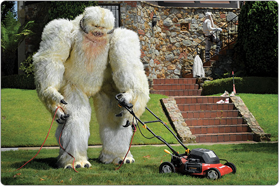 adidas Skyline Mid Coruscant